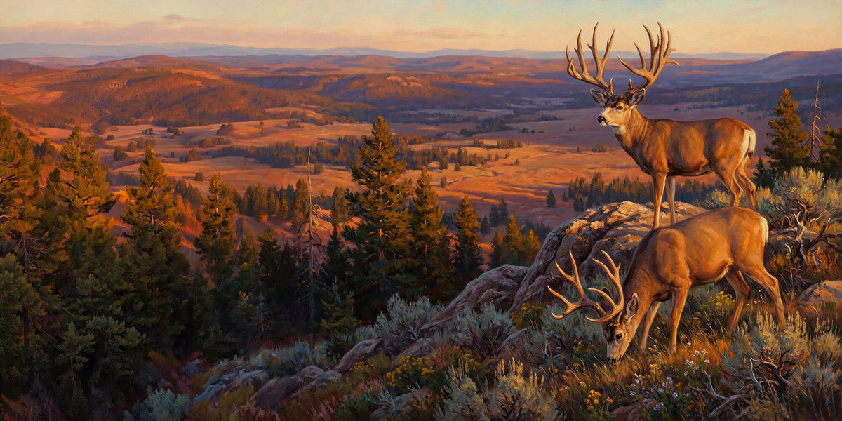 Twilight Watch from the Summit