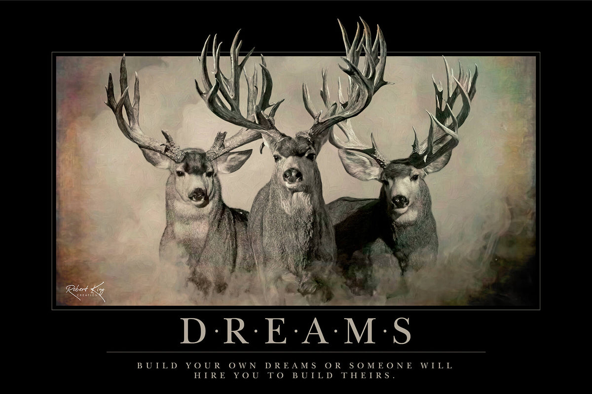 Dreams Motivational