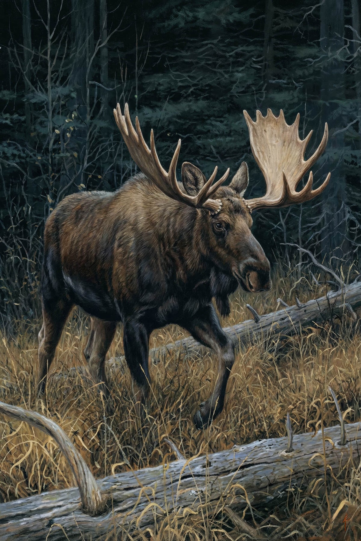 Dark Timber King