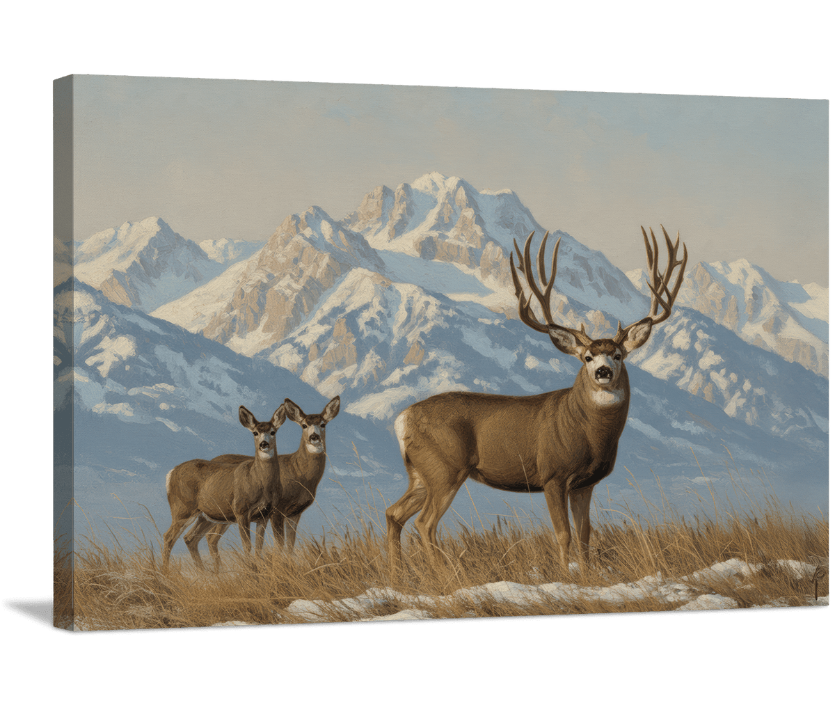 Majestic Buck and Companions