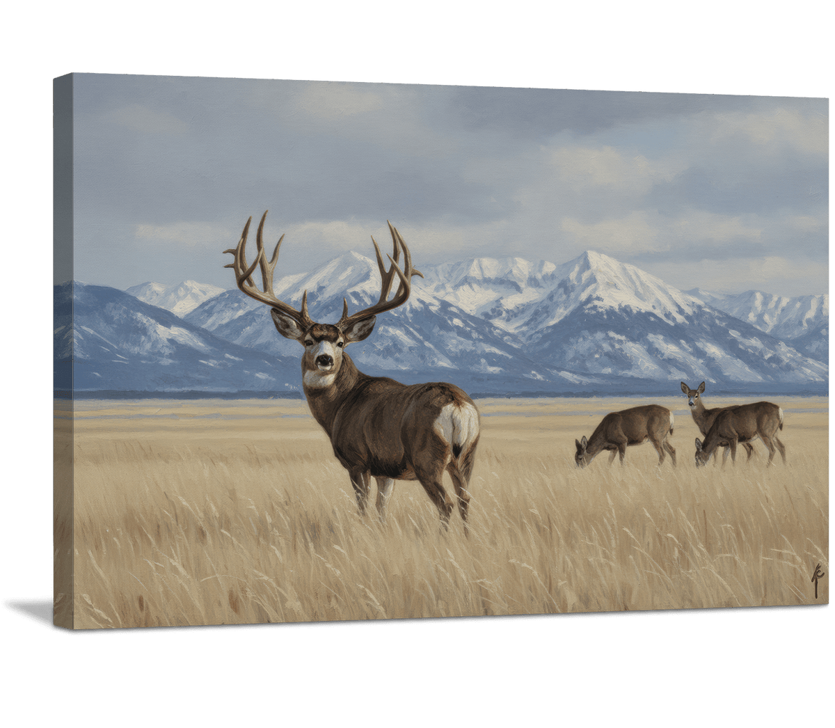 Mountain Horizon Majesty