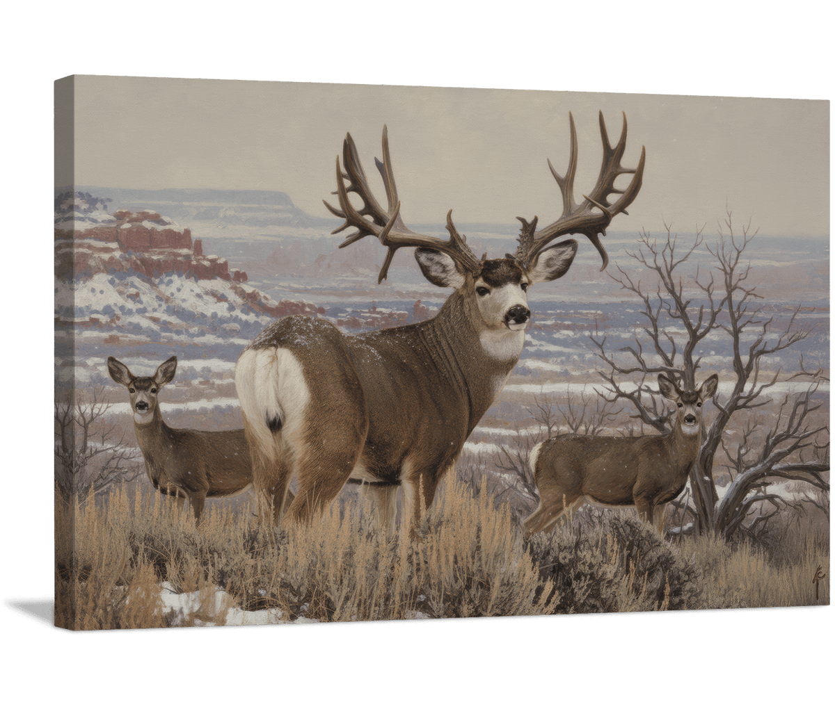 High Desert Family