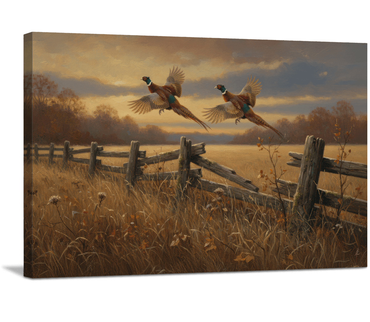 Pheasants Rising in the Harvest Glow