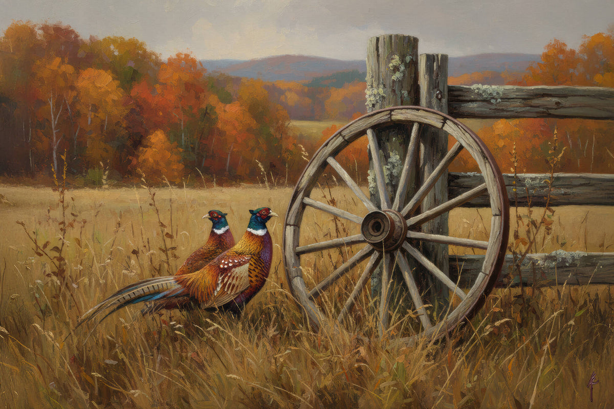 Pheasants at Rest in Harvest Light