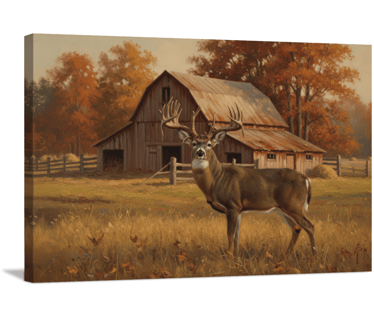 Autumn Barn Buck