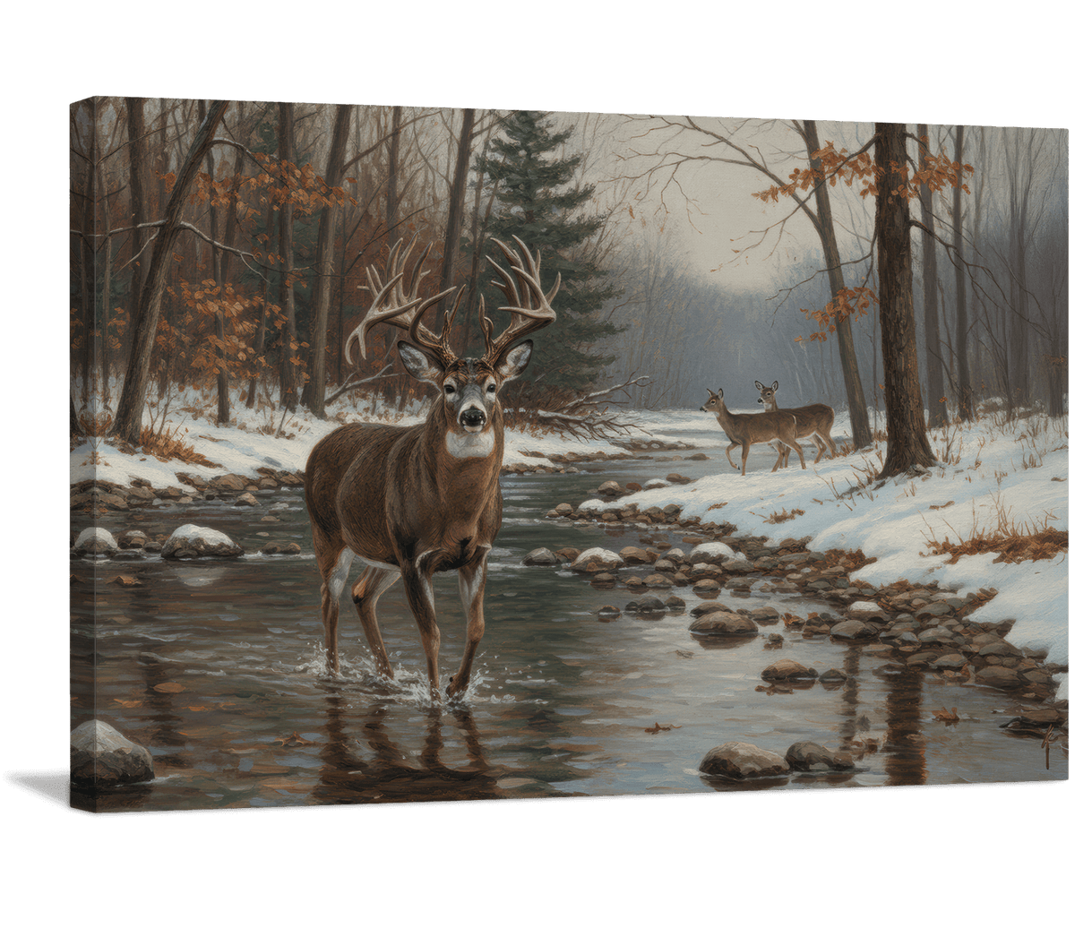 Whitetail Stream