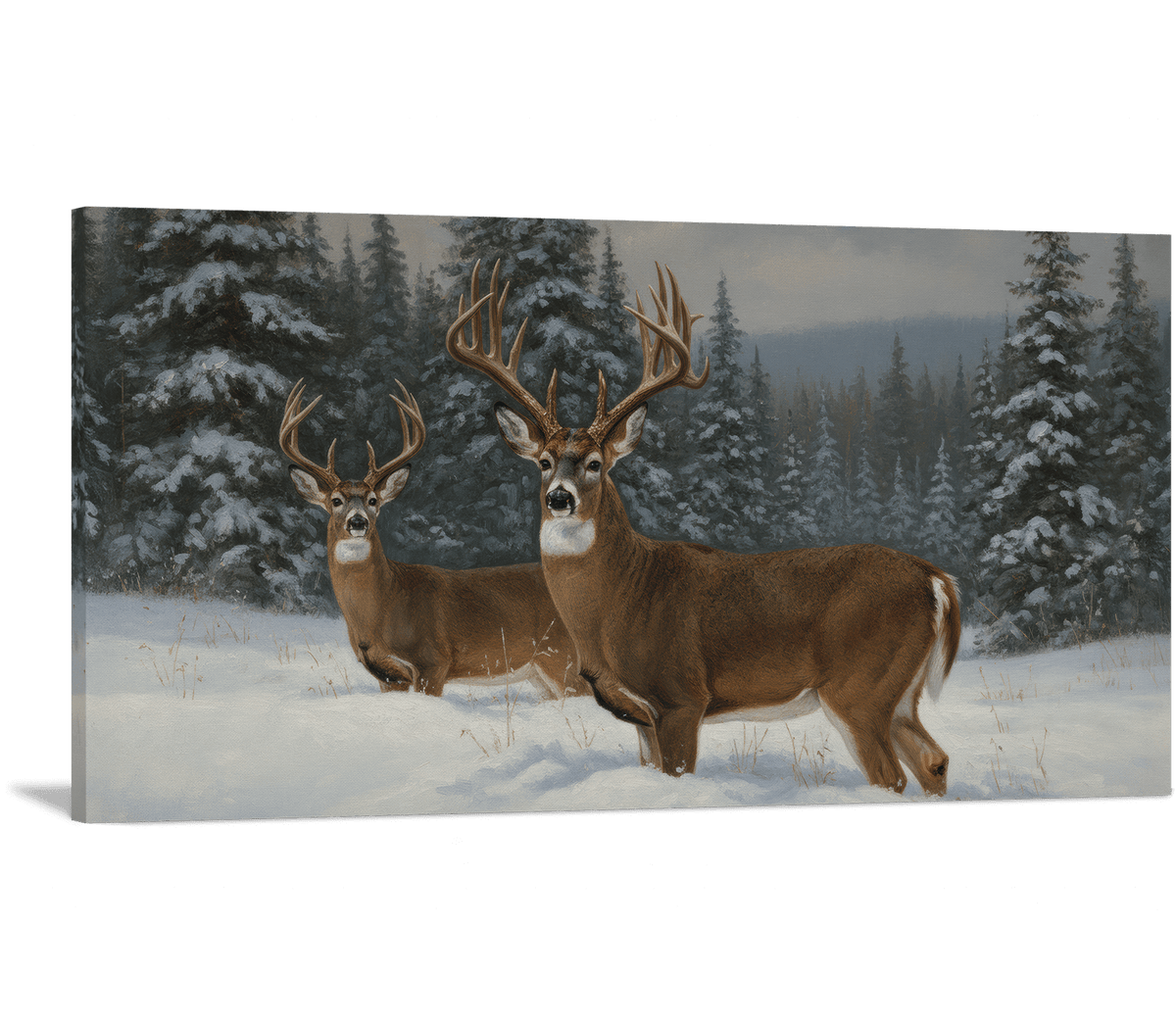 Frosted Forest Royals