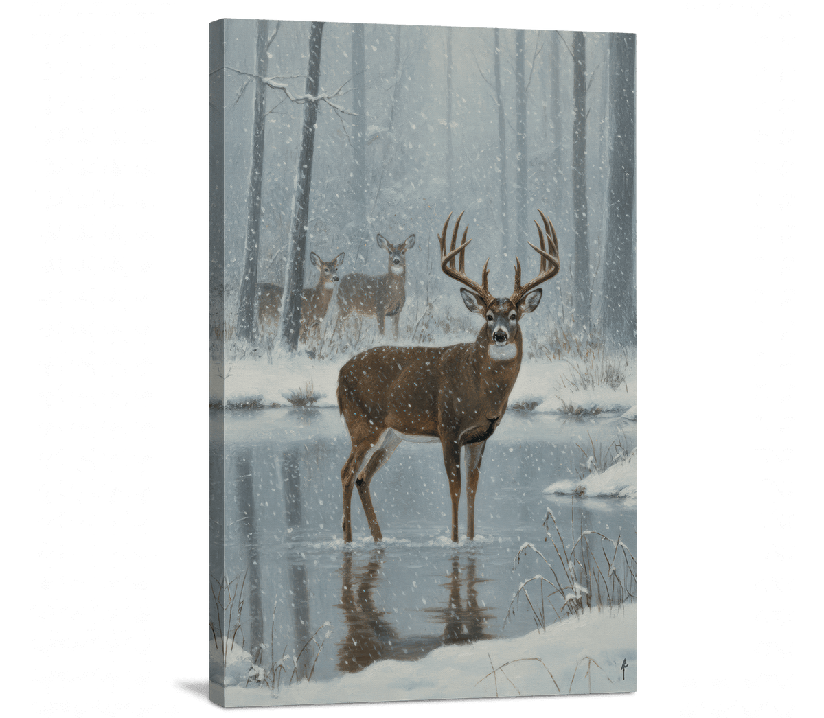 Winter's Quiet Crossing
