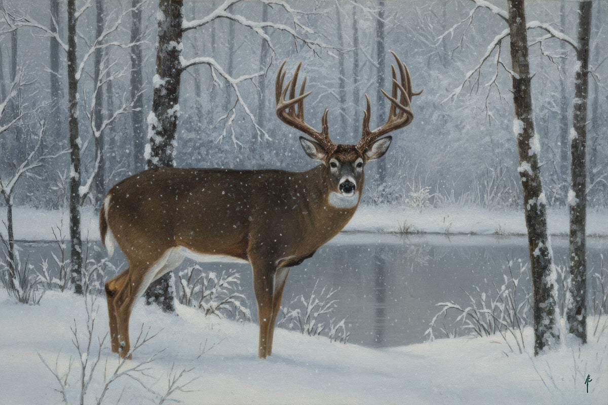 Buck in the Silent Woods